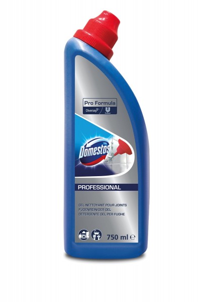 Domestos Professional Fugenreiniger 750ml